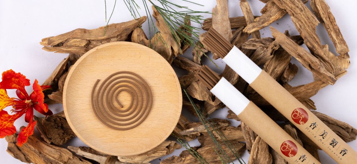 490870493_1222226273243585_6890449330083532646_n