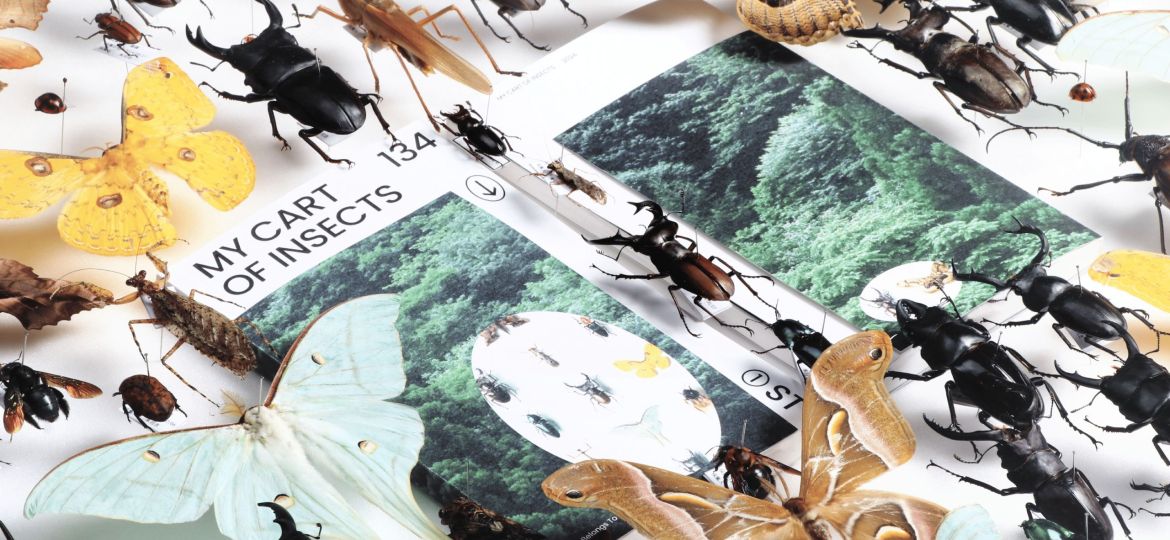 MY CART OF INSECTS_比賽_背板-1 - GUAN-CHENG ZHU